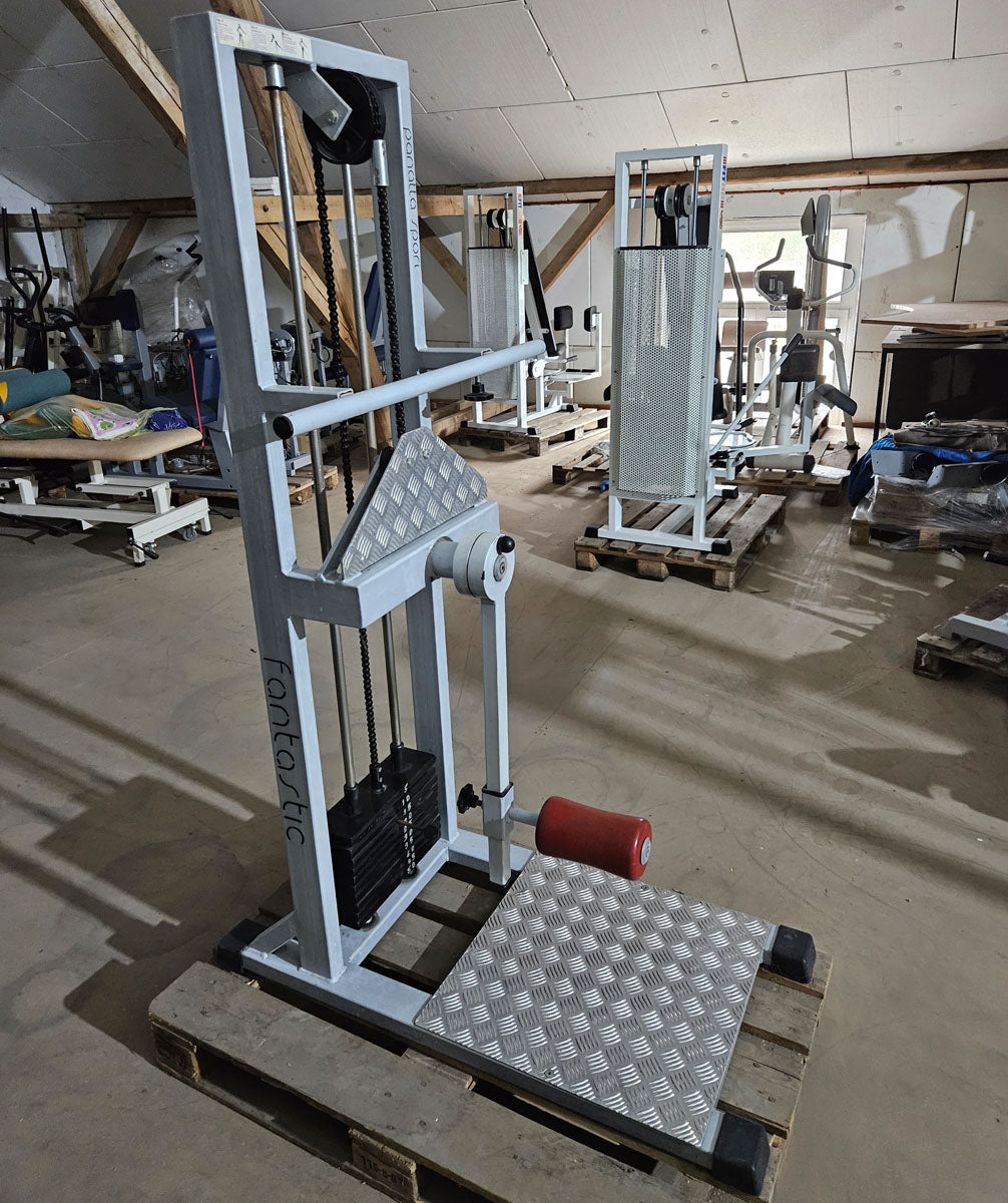 Panatta Multihip, Kickmaschine, Hüftpendel, Oldschool Bodybuilding Kraftgerät, Rahmenfarbe Silber, gebraucht mit Gebrauchsspuren