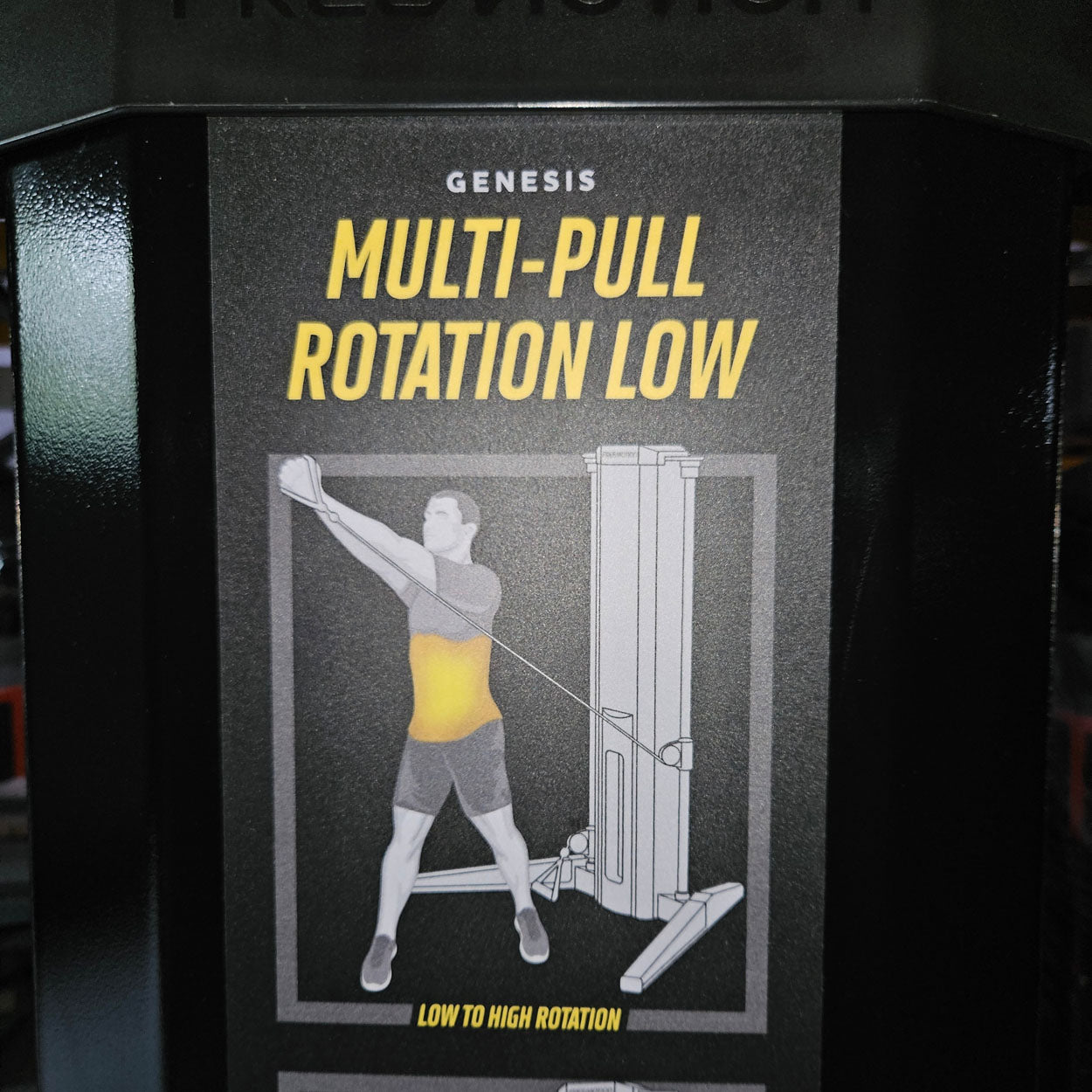 Freemotion Genesis strength training set, 10 bilateral cable pulleys, built in 2019 and 2020 - can also be used as a circuit, made in the USA - used - like new condition