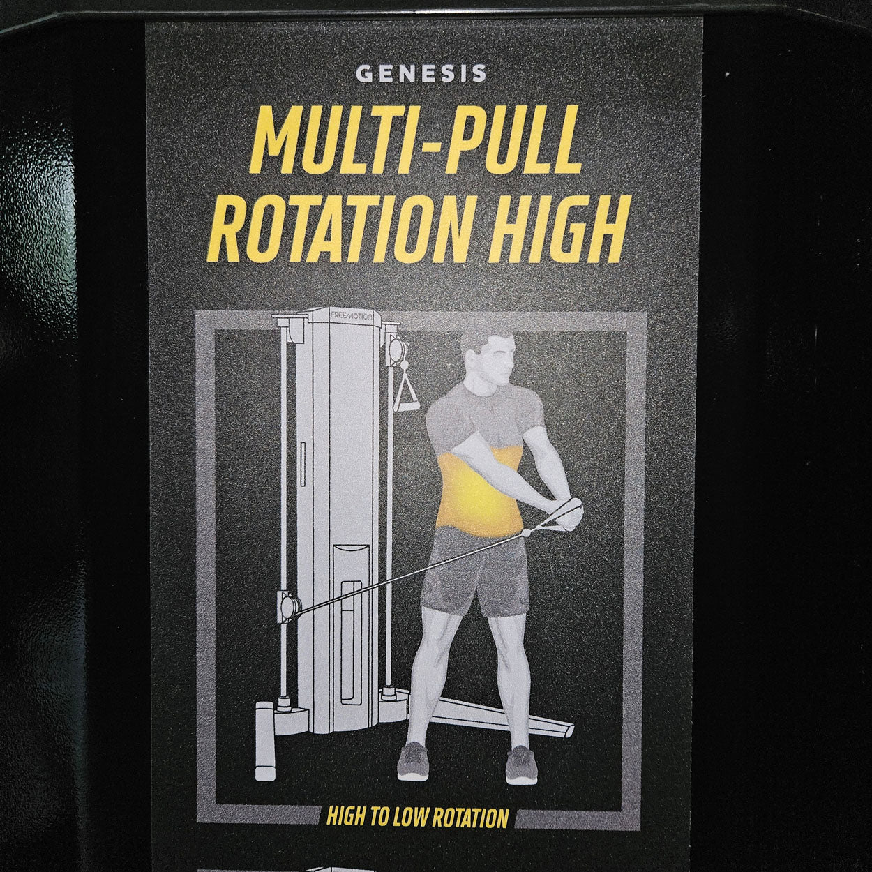 Freemotion Genesis strength training set, 10 bilateral cable pulleys, built in 2019 and 2020 - can also be used as a circuit, made in the USA - used - like new condition