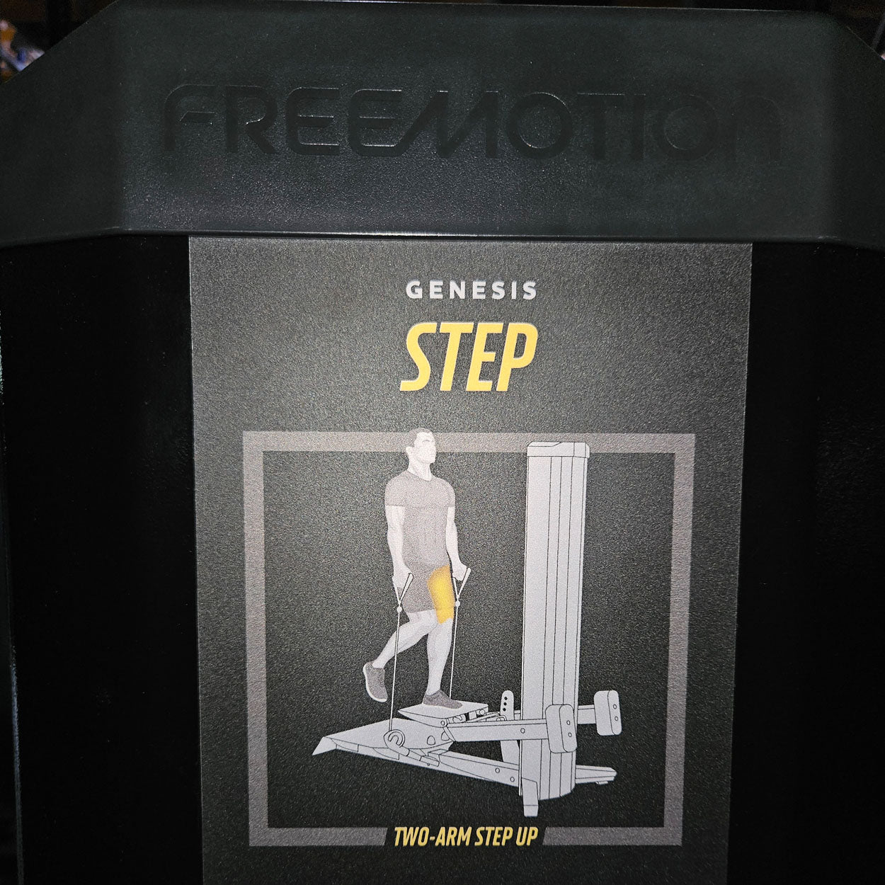 Freemotion Genesis strength training set, 10 bilateral cable pulleys, built in 2019 and 2020 - can also be used as a circuit, made in the USA - used - like new condition