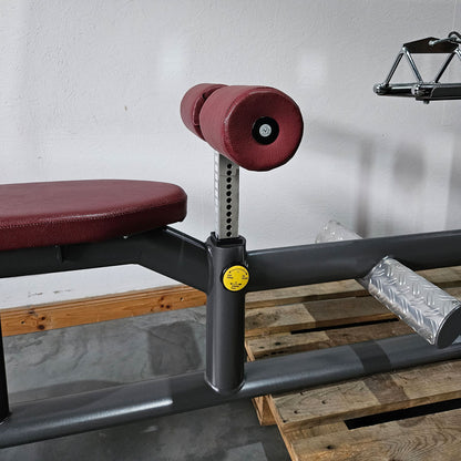 Latzug und Rudern Long Pulley 2 in 1 Kombigerät, Lat-, Ruderzug (Kombigerät) T 492b, Teuwsen Sportgeräte, Rahmen Anthrazit, gebraucht - überholter Zustand