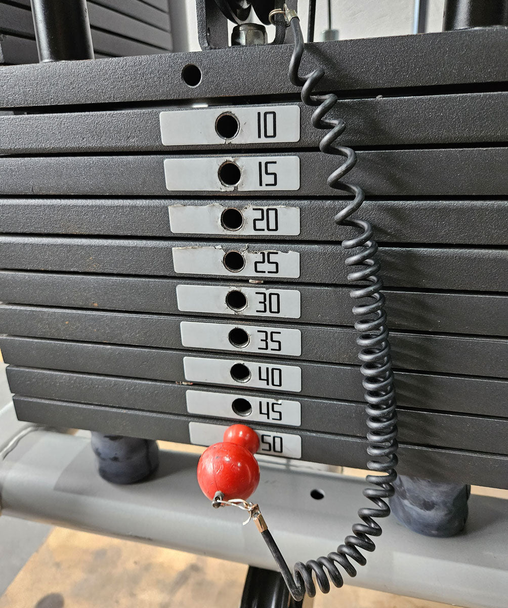 Panatta 5 Stationenturm mit Cable Crossover - Jungle Machine + Cable Station with Connection Bar - 5 Stack Multi Funktionsturm, Rahmenfarbe Silber, gebraucht - geprüfter Zustand