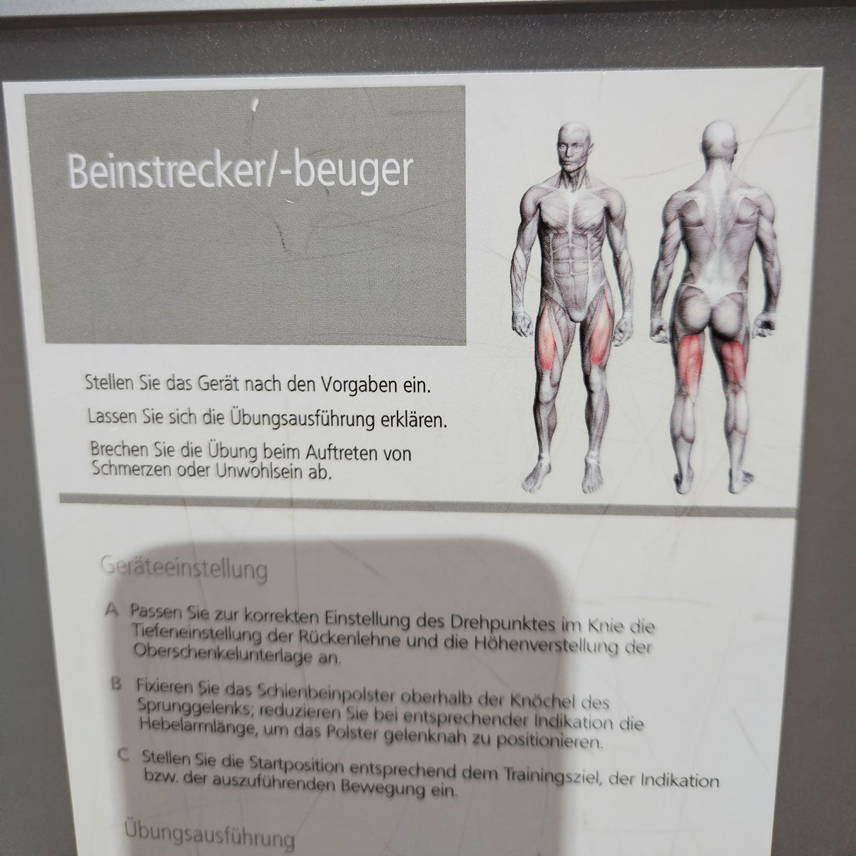 Proxomed Compass 530 Beinstrecker und Beinbeuger sitzend Kombigerät 2 in 1, Leg Curl and Leg Extension, MPG, Reha, Rahmen Silber, gerbaucht - überholter Zustand