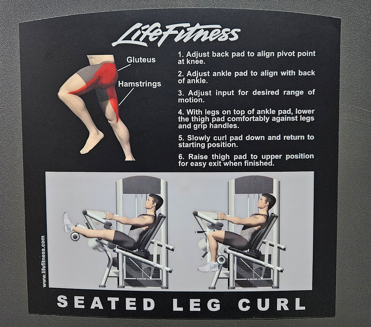 Life Fitness Seated Leg Curl, Signature Series, 135kg Weight Block, Silver Frame, Used - Refurbished Condition