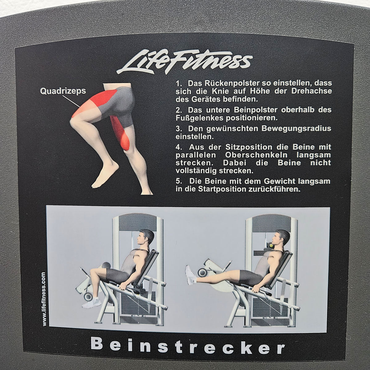 Life Fitness seated leg extension machine, Signature Series, 145 kg weight block, frame color silver, used - refurbished condition