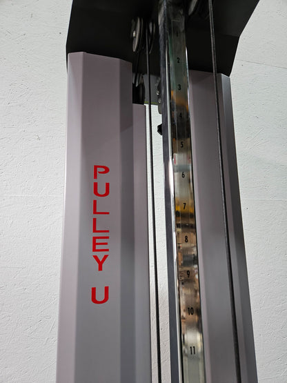 Pego Sport Pulley U, Vertikalzug - Universalzug 80 kg (Wandmodell) Seilzug Kabelzug für Physio und Reha, Made in Germany - gebraucht - überholter Zustand
