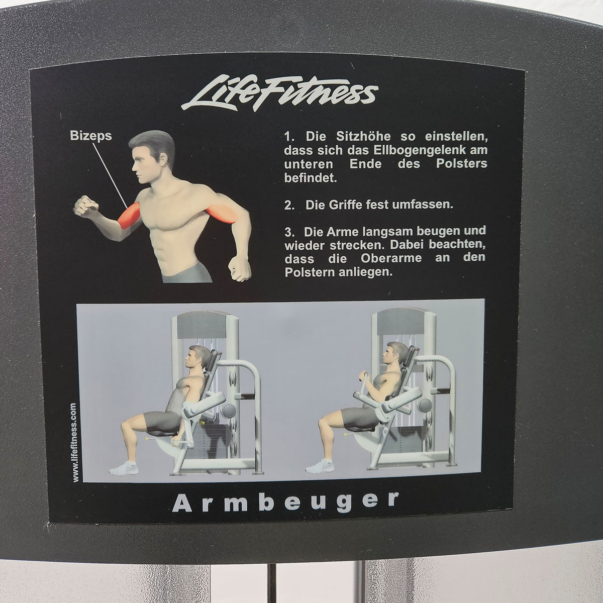 Life Fitness Armbeuger, Bizepsmaschine, Biceps Curl Machine, Bilateral, drehbare Griffe, Signature Series, Rahmenfarbe Silber, gebraucht - überholter Zustand
