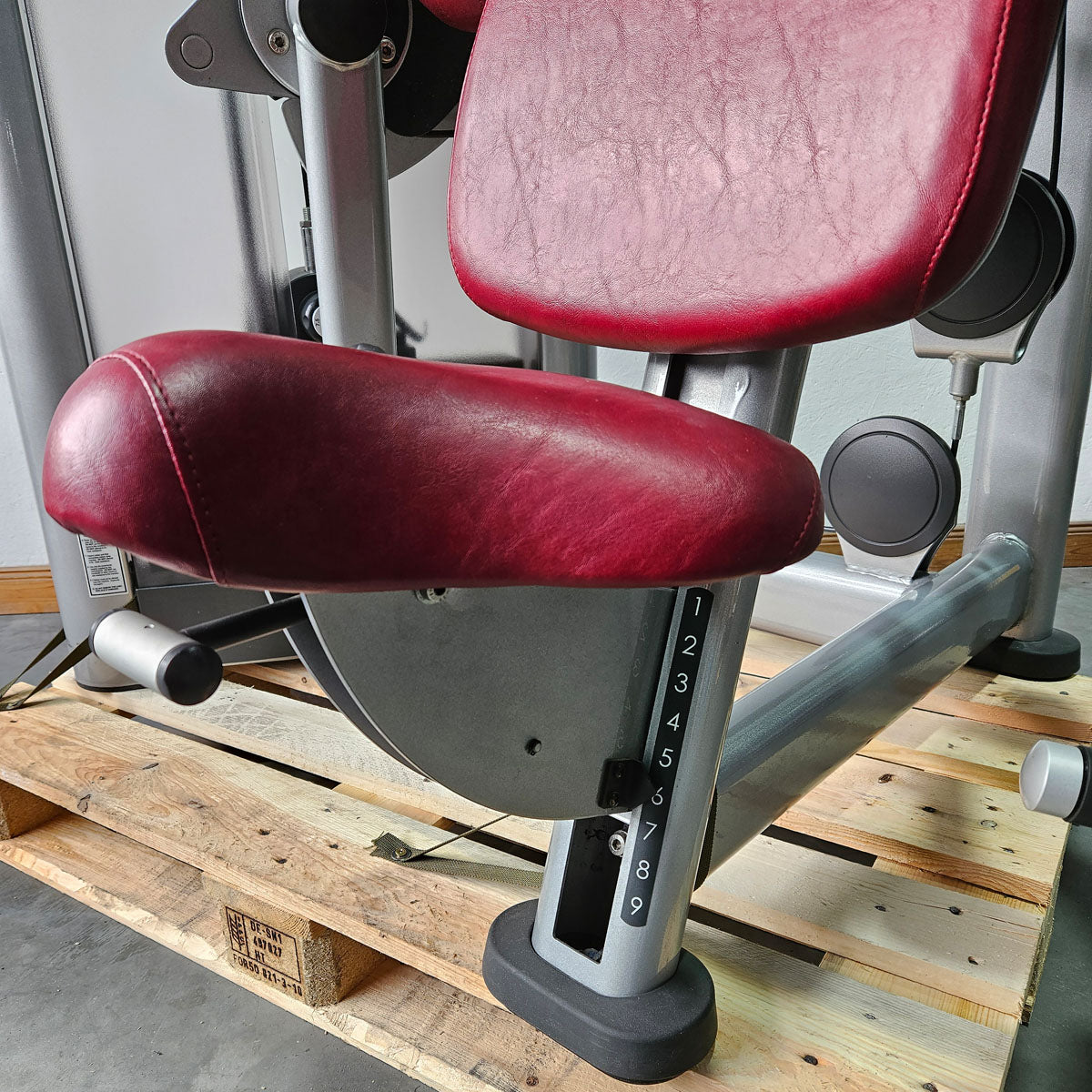 Life Fitness Armbeuger, Bizepsmaschine, Biceps Curl Machine, Bilateral, drehbare Griffe, Signature Series, Rahmenfarbe Silber, gebraucht - überholter Zustand