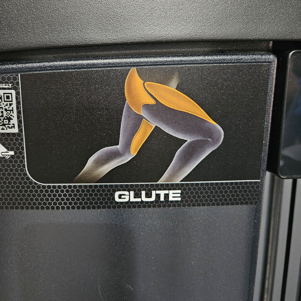 Life Fitness Insignia Glute, glute machine, buttock machine standing, color black, used - refurbished condition