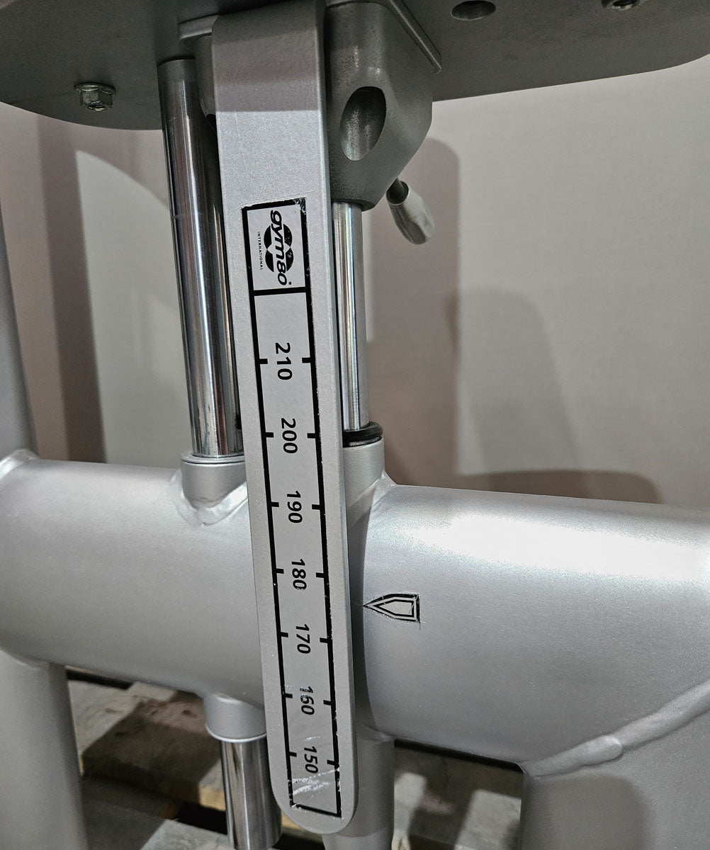 Gym80 Sygnum 4116 Rückenzugstation, Latzug von Oben, Lat Pulldown, 135kg Gewichtsblock, Farbe Silber, gebraucht - überholter Zustand