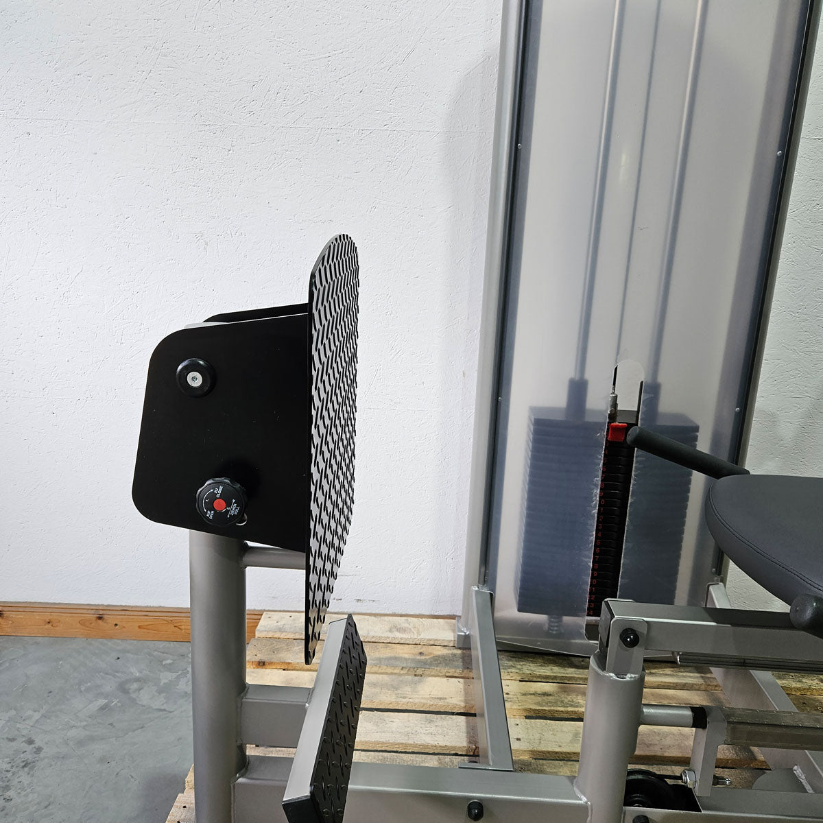Pego Sport Funktionsstemme Kombi Sitzend-Liegend,  Beinpresse verstellbar, Rahmen Silber-Grau, gebraucht - überholter Zustand