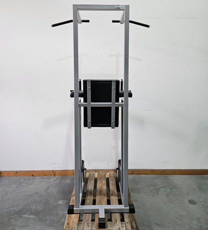 Technogym 3 in 1 machine, dips, leg raises and pull-up stand, Silverline, frame silver, used - tested condition with signs of wear