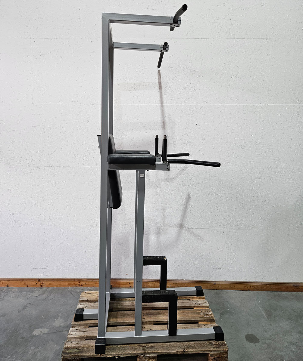 Technogym 3 in 1 machine, dips, leg raises and pull-up stand, Silverline, frame silver, used - tested condition with signs of wear