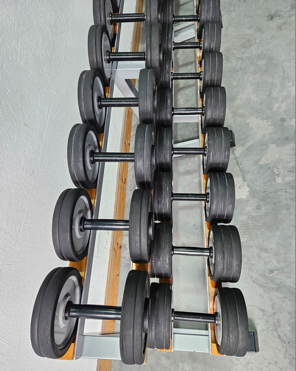 Technogym Kurzhantelsatz aus Guss mit Gummi Außenringen von 12 bis 40kg in 2kg Stufen ( 17 Paare ) + einige Paare doppelt Oldschool, Inkl. Kurzhantelablagen, gebraucht - mit Gebrauchsspuren