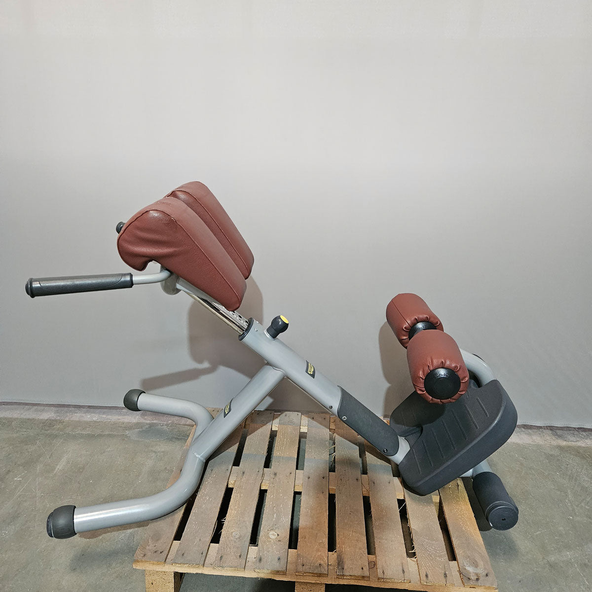 Technogym 2er Set Lower Back Bench und Abdominal Bench - Hyperextension Rückenstreckerbank und verstellbare Bauchbank, Rahmen Silber, gebraucht - überholter Zustand