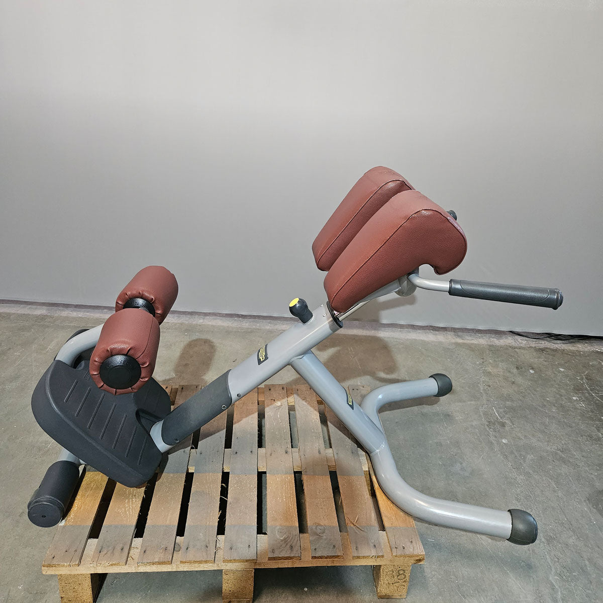 Technogym 2er Set Lower Back Bench und Abdominal Bench - Hyperextension Rückenstreckerbank und verstellbare Bauchbank, Rahmen Silber, gebraucht - überholter Zustand