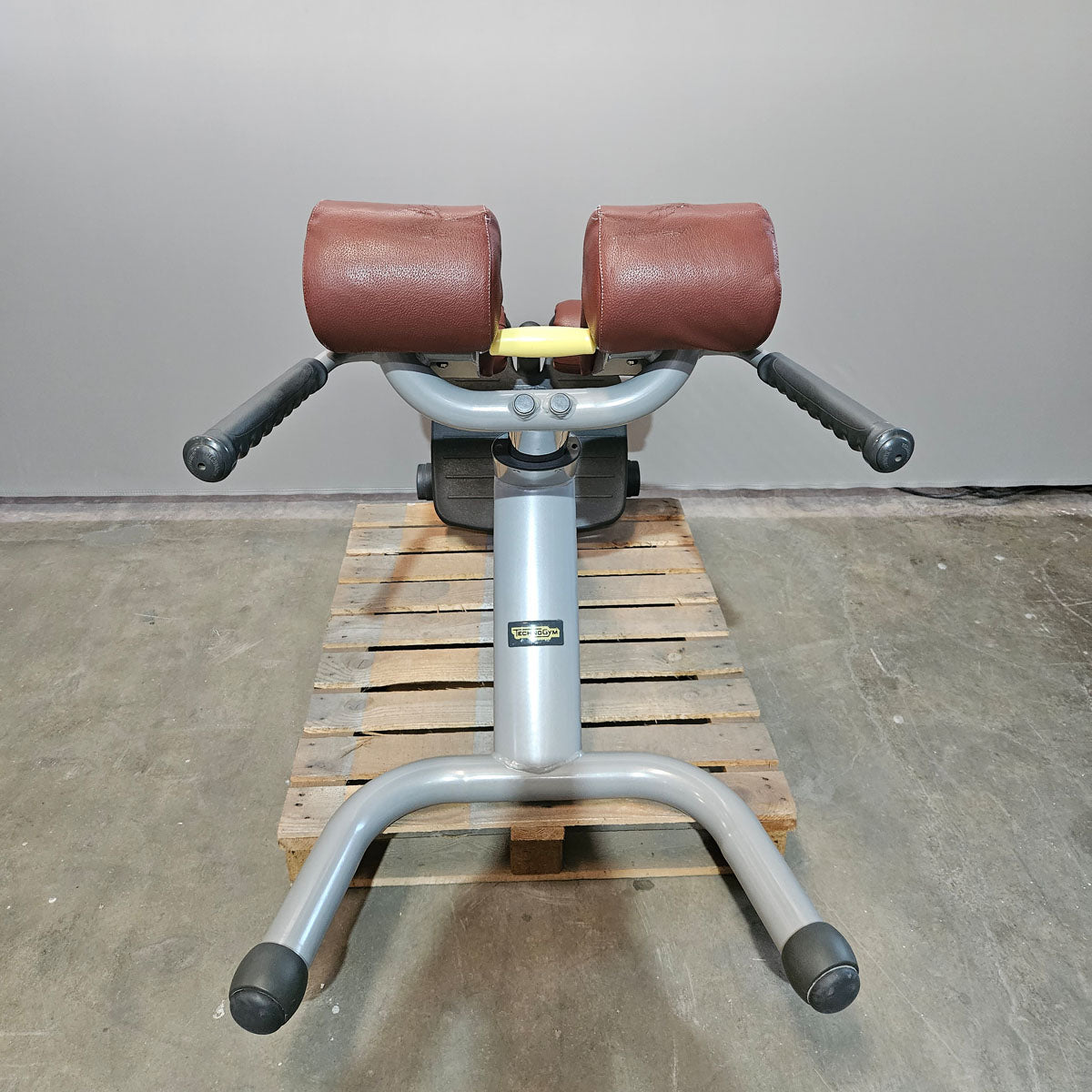 Technogym 2er Set Lower Back Bench und Abdominal Bench - Hyperextension Rückenstreckerbank und verstellbare Bauchbank, Rahmen Silber, gebraucht - überholter Zustand