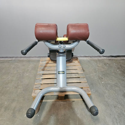 Technogym 2er Set Lower Back Bench und Abdominal Bench - Hyperextension Rückenstreckerbank und verstellbare Bauchbank, Rahmen Silber, gebraucht - überholter Zustand