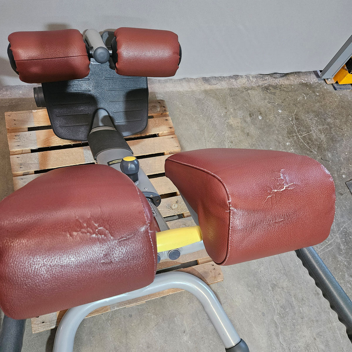 Technogym 2er Set Lower Back Bench und Abdominal Bench - Hyperextension Rückenstreckerbank und verstellbare Bauchbank, Rahmen Silber, gebraucht - überholter Zustand