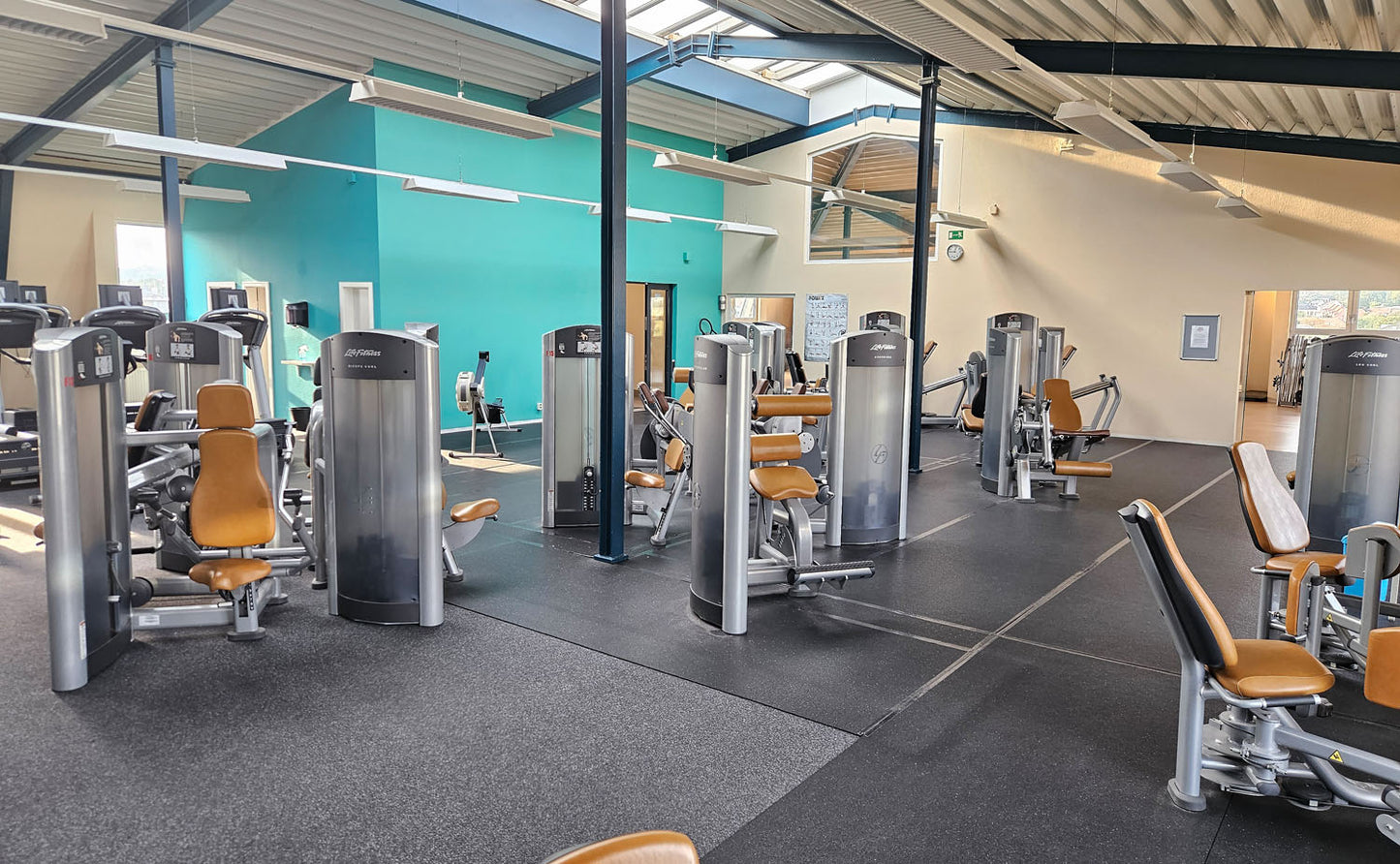 Life Fitness & Hammer Strength - 95 Fitnessgeräte - 105 Stationen, Kraftgeräte, Cardiogeräte, Plate loaded Geräte, Bänke etc - komplettes Fitnessstudio - gebraucht, überholter TOP Zustand
