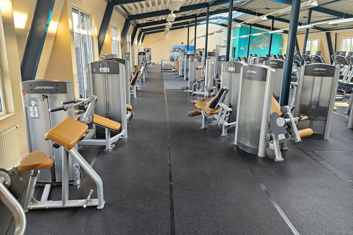 Life Fitness & Hammer Strength - 95 Fitnessgeräte - 105 Stationen, Kraftgeräte, Cardiogeräte, Plate loaded Geräte, Bänke etc - komplettes Fitnessstudio - gebraucht, überholter TOP Zustand