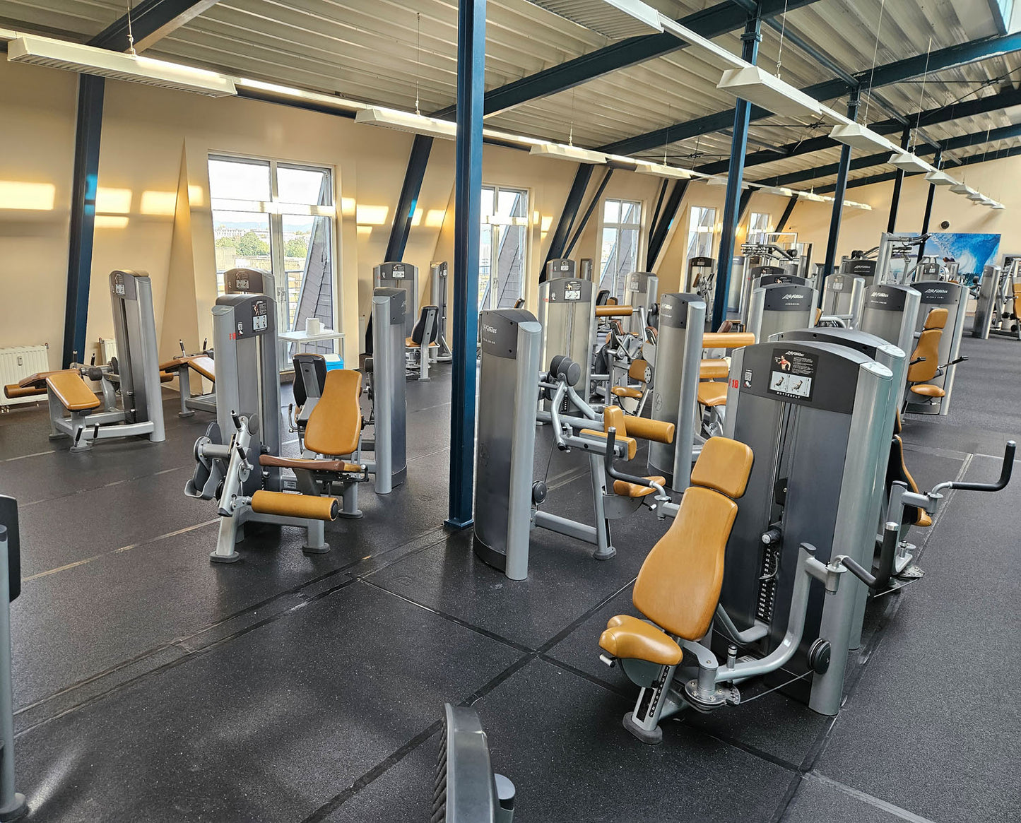 Life Fitness & Hammer Strength - 95 Fitnessgeräte - 105 Stationen, Kraftgeräte, Cardiogeräte, Plate loaded Geräte, Bänke etc - komplettes Fitnessstudio - gebraucht, überholter TOP Zustand