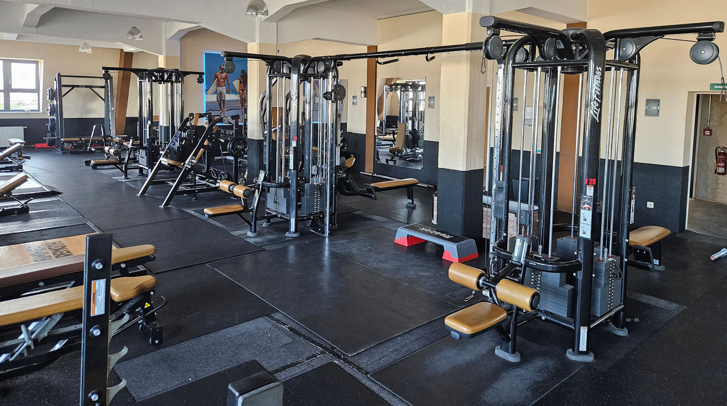 Life Fitness &amp; Hammer Strength - 95 pieces of fitness equipment - 105 stations, strength training equipment, cardio equipment, plate-loaded equipment, benches, etc. - complete gym - used, refurbished, top condition