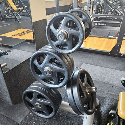 Elbesport Olympia weight plates V5, rubber, 1722 kg total, 138 rubberized grippers, color black, used - relatively good condition - visual signs of wear