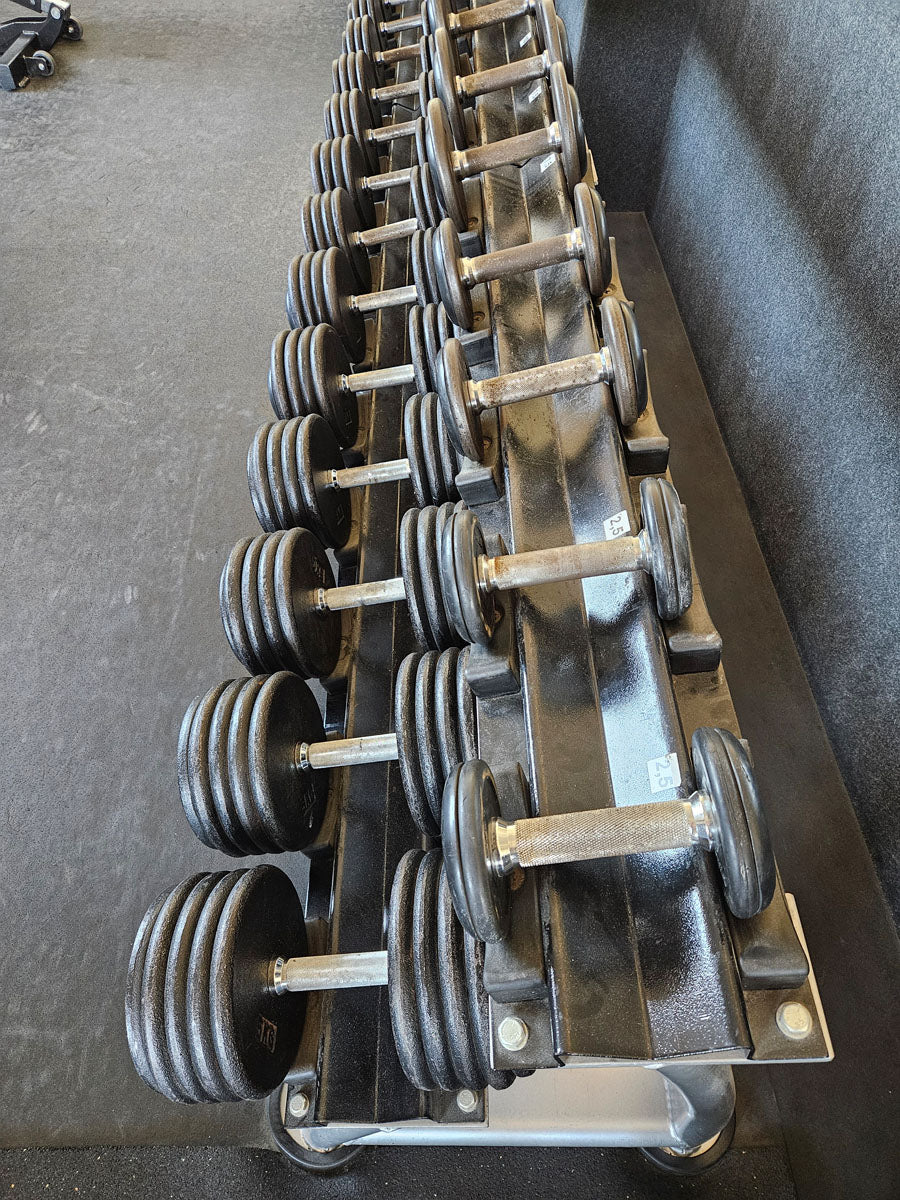 ElbeSport Kurzhantelsatz aus Guss von 2,5 bis 50kg in 2,5kg Stufen ( 20 Paare ) Oldschool, INKLUSIVE Kurzhantelablagen, gebraucht - mit Gebrauchsspuren