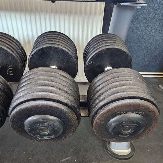 ElbeSport - 1 Paar 70kg Kurzhanteln aus Guss mit Gummi Endkappe, Oldschool, gebraucht - mit Gebrauchsspuren