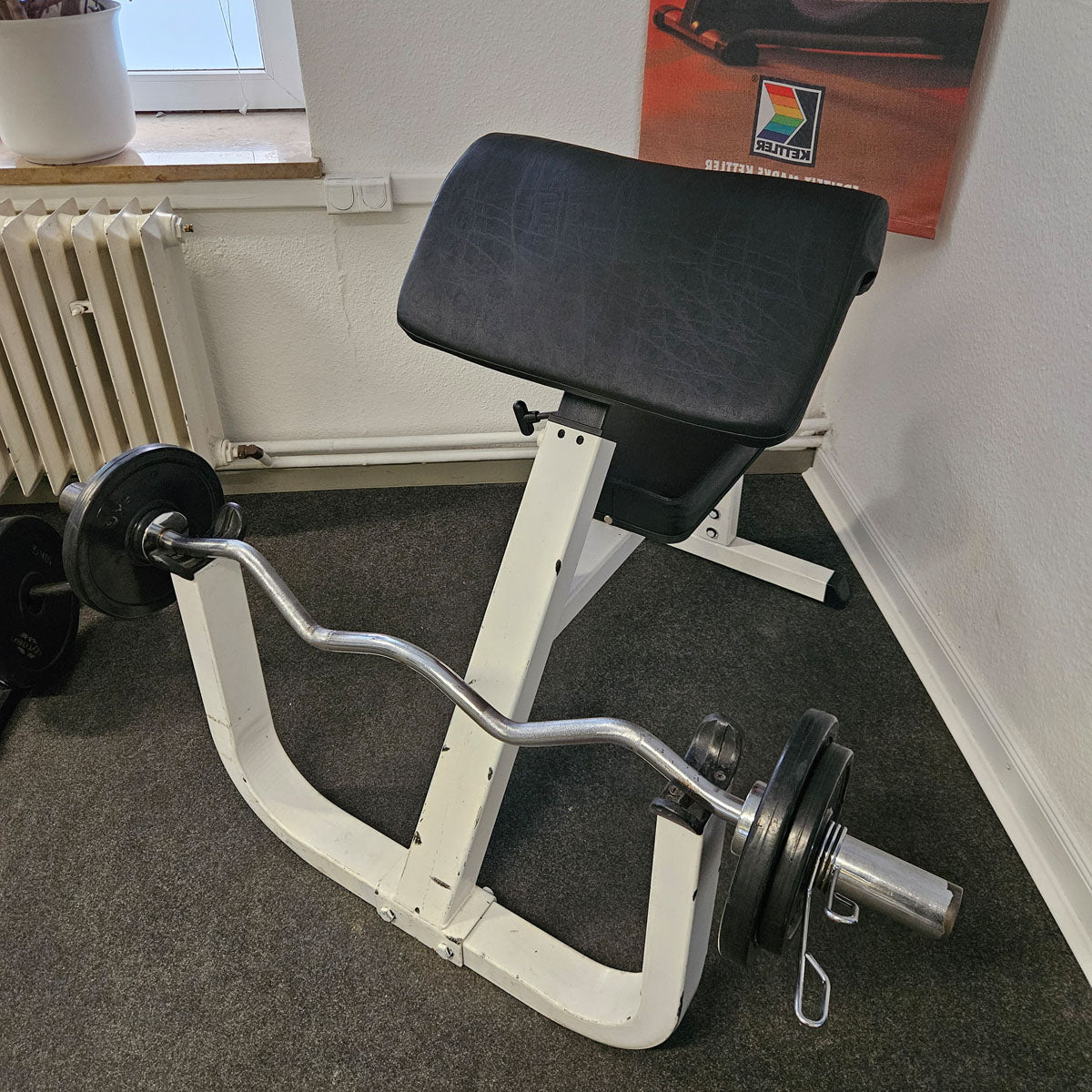 Scott curl, biceps bench, SZ curls, frame color white, used with signs of wear
