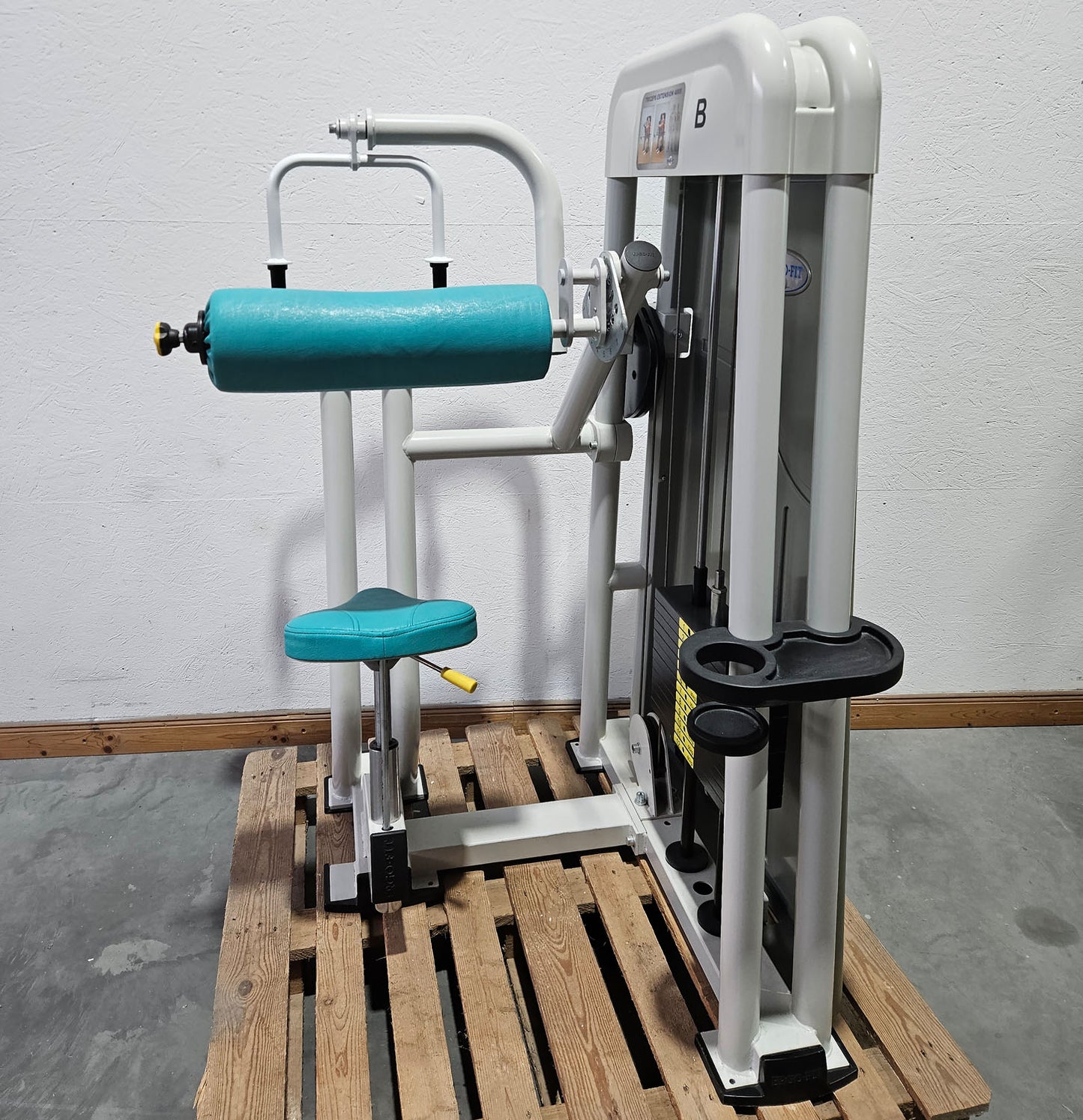 Ergo-Fit horizontal triceps machine, triceps extension, arm extension, 4000 series, frame color white, used - refurbished condition