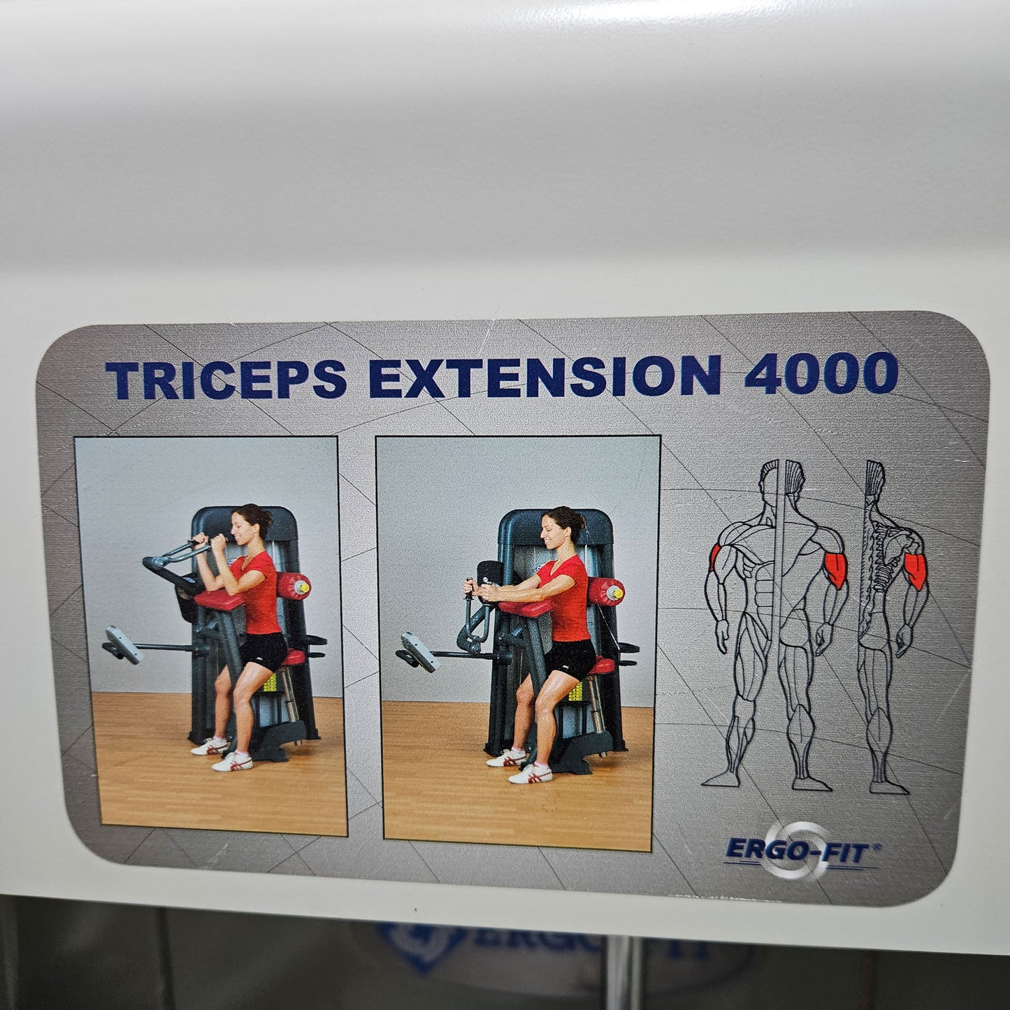 Ergo-Fit horizontal triceps machine, triceps extension, arm extension, 4000 series, frame color white, used - refurbished condition