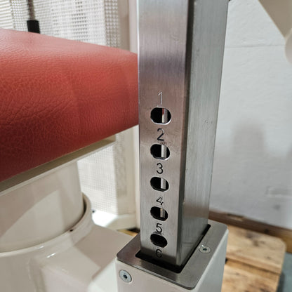 Dynamed Bauchmaschine und Rückenstrecker 2 in 1 Kombimaschine - Bauchmuskeltraining und Hyperextension, Abs and Lower Back, Stolzenberg, Rahmen Weiß, gebraucht - überholter Zustand