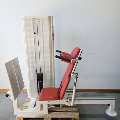 Dynamed Funktionsstemme Kombi Sitzend-Liegend, 150kg Gewichtsblock, mit Kippkreisel, Beinpresse verstellbar, Stolzenberg, Rahmen Weiß, gebraucht - überholter Zustand