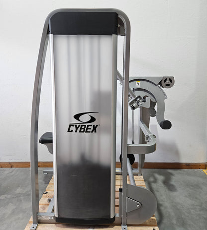 Cybex Eagle Lat Pulldown, Latzug Bilateral, großer 131kg Gewichtsblock, Rahmenfarbe Silber, gebraucht - überholter Zustand