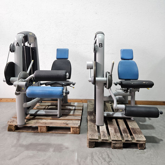 Technogym 2er Set = Beinstrecker und Beinbeuger, Leg Extension and Leg Curl Set, Selection Line, Rahmenfarbe Silber, gebraucht - überholter Zustand
