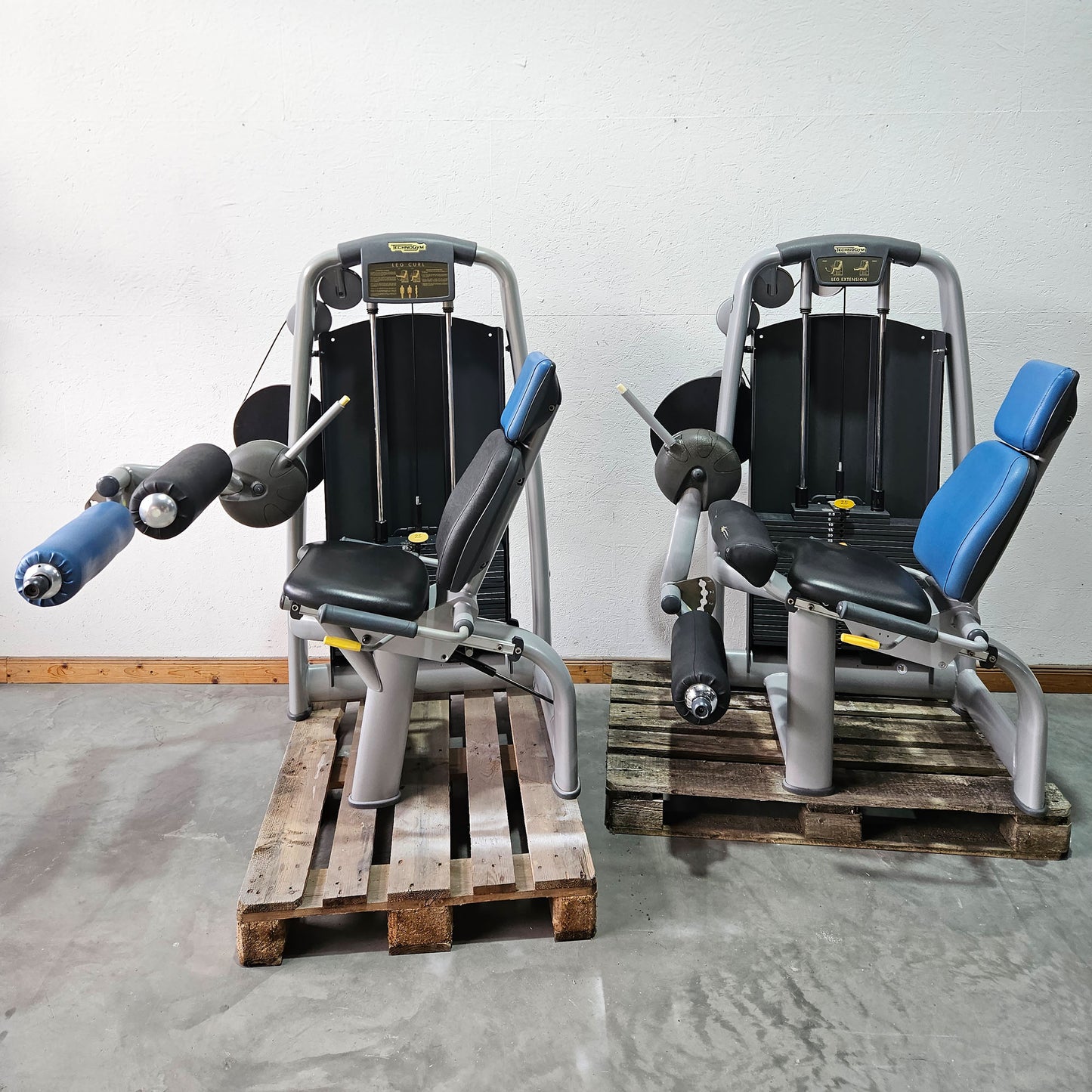Technogym 2er Set = Beinstrecker und Beinbeuger, Leg Extension and Leg Curl Set, Selection Line, Rahmenfarbe Silber, gebraucht - überholter Zustand
