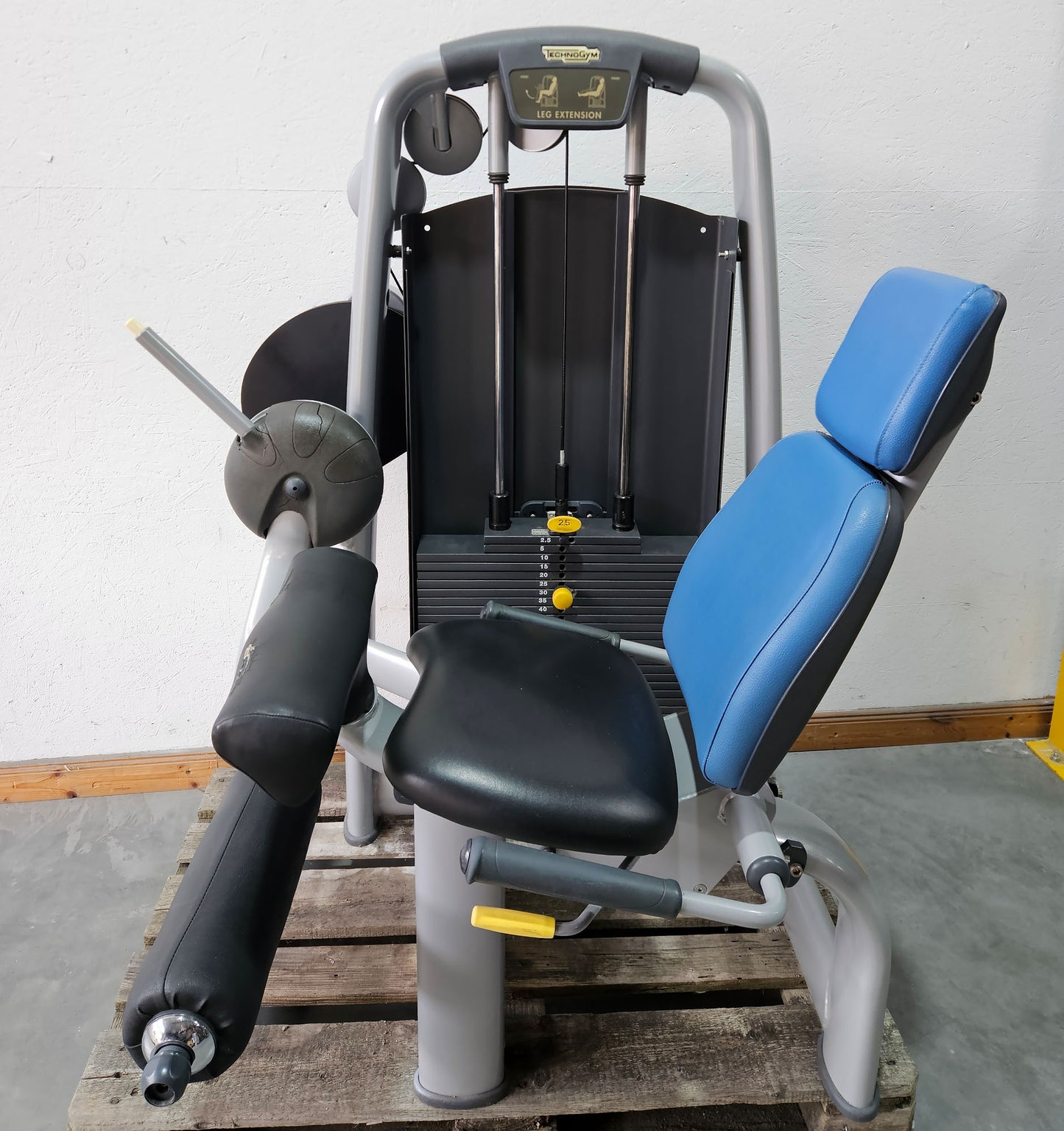Technogym 2er Set = Beinstrecker und Beinbeuger, Leg Extension and Leg Curl Set, Selection Line, Rahmenfarbe Silber, gebraucht - überholter Zustand