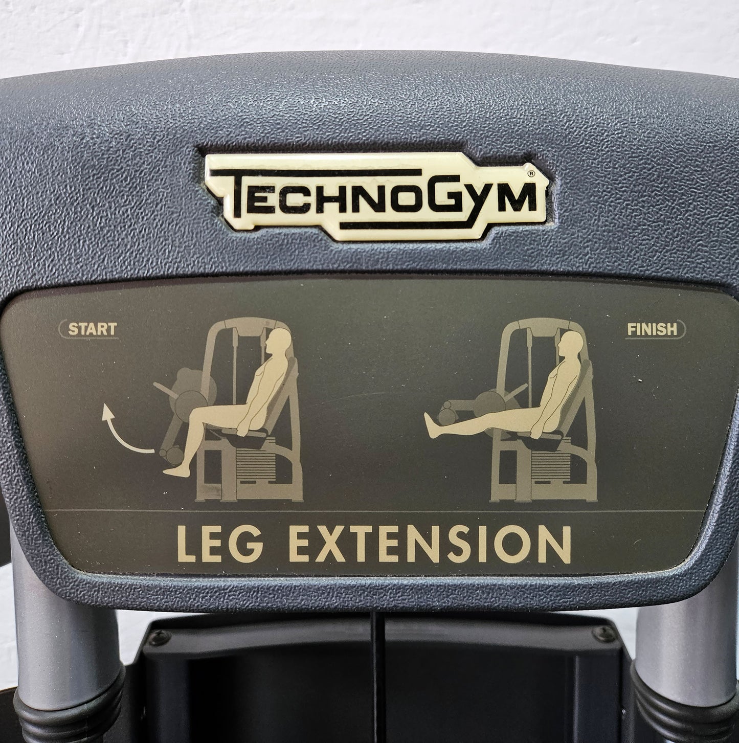 Technogym 2er Set = Beinstrecker und Beinbeuger, Leg Extension and Leg Curl Set, Selection Line, Rahmenfarbe Silber, gebraucht - überholter Zustand