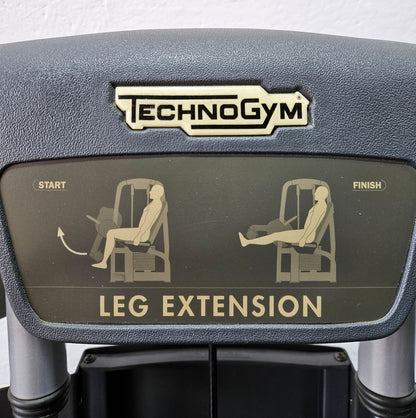 Technogym 2er Set = Beinstrecker und Beinbeuger, Leg Extension and Leg Curl Set, Selection Line, Rahmenfarbe Silber, gebraucht - überholter Zustand
