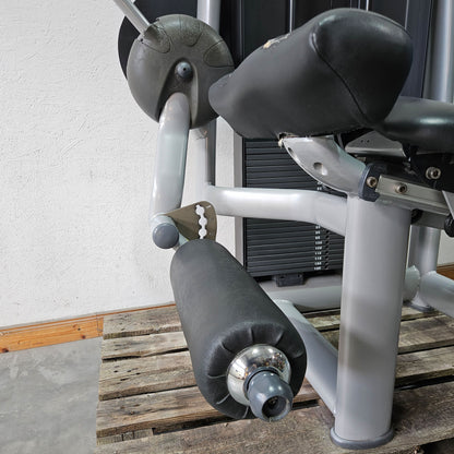 Technogym 2er Set = Beinstrecker und Beinbeuger, Leg Extension and Leg Curl Set, Selection Line, Rahmenfarbe Silber, gebraucht - überholter Zustand