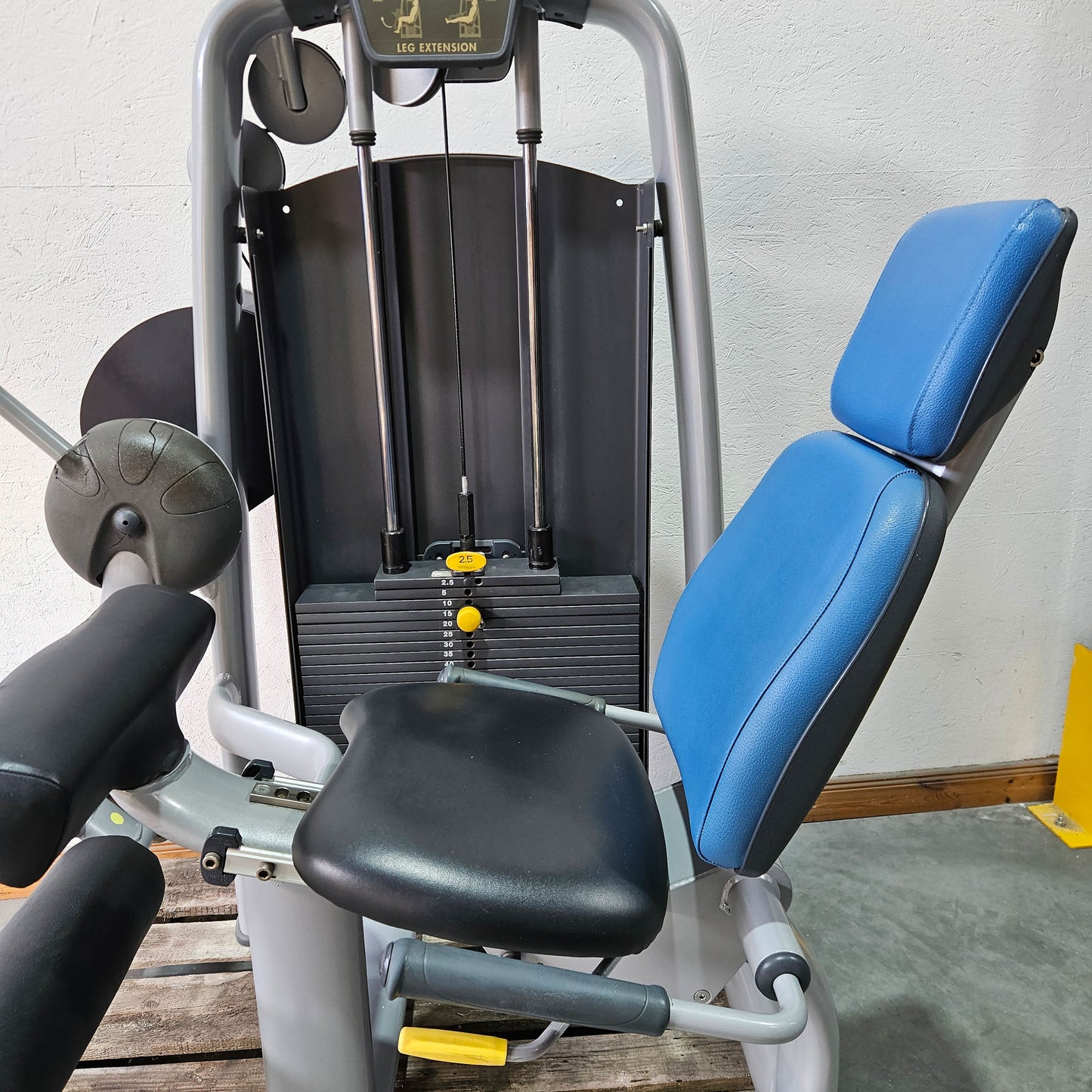 Technogym 2er Set = Beinstrecker und Beinbeuger, Leg Extension and Leg Curl Set, Selection Line, Rahmenfarbe Silber, gebraucht - überholter Zustand