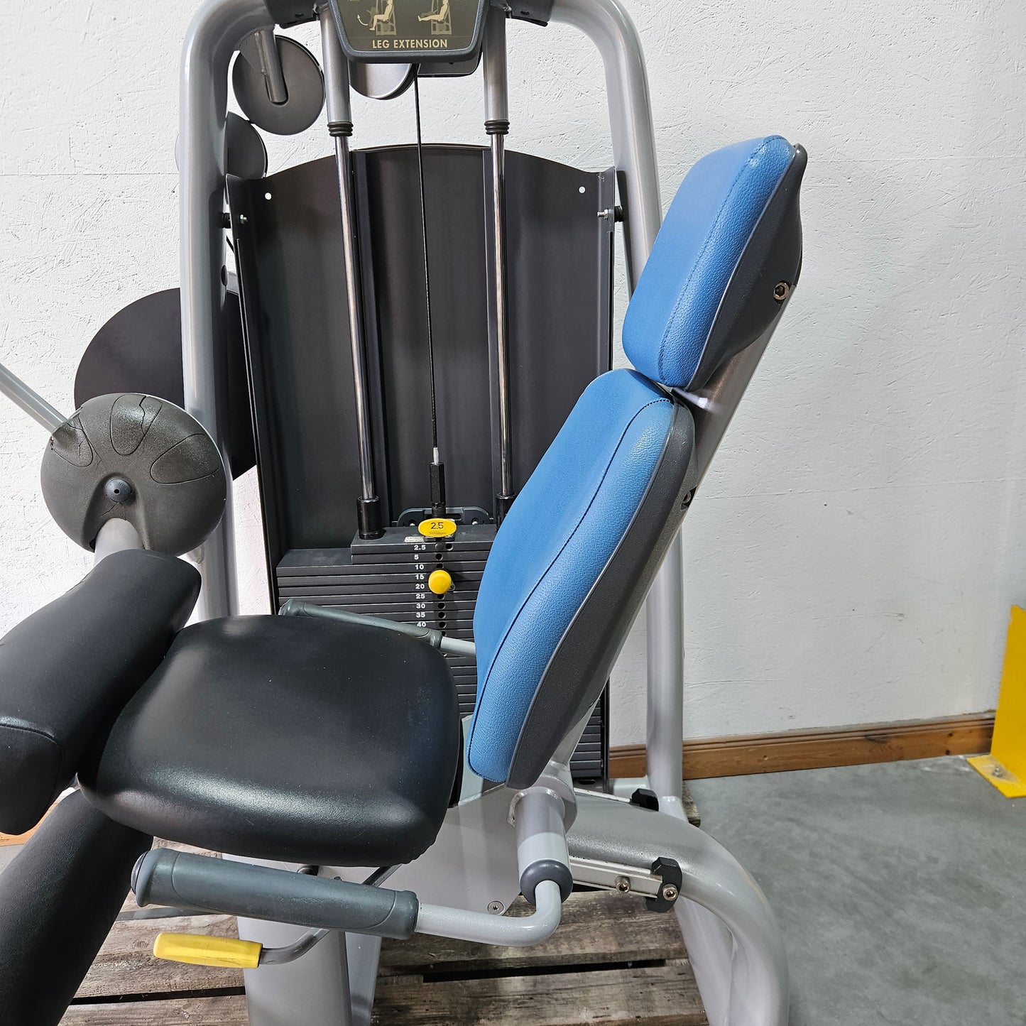 Technogym 2er Set = Beinstrecker und Beinbeuger, Leg Extension and Leg Curl Set, Selection Line, Rahmenfarbe Silber, gebraucht - überholter Zustand