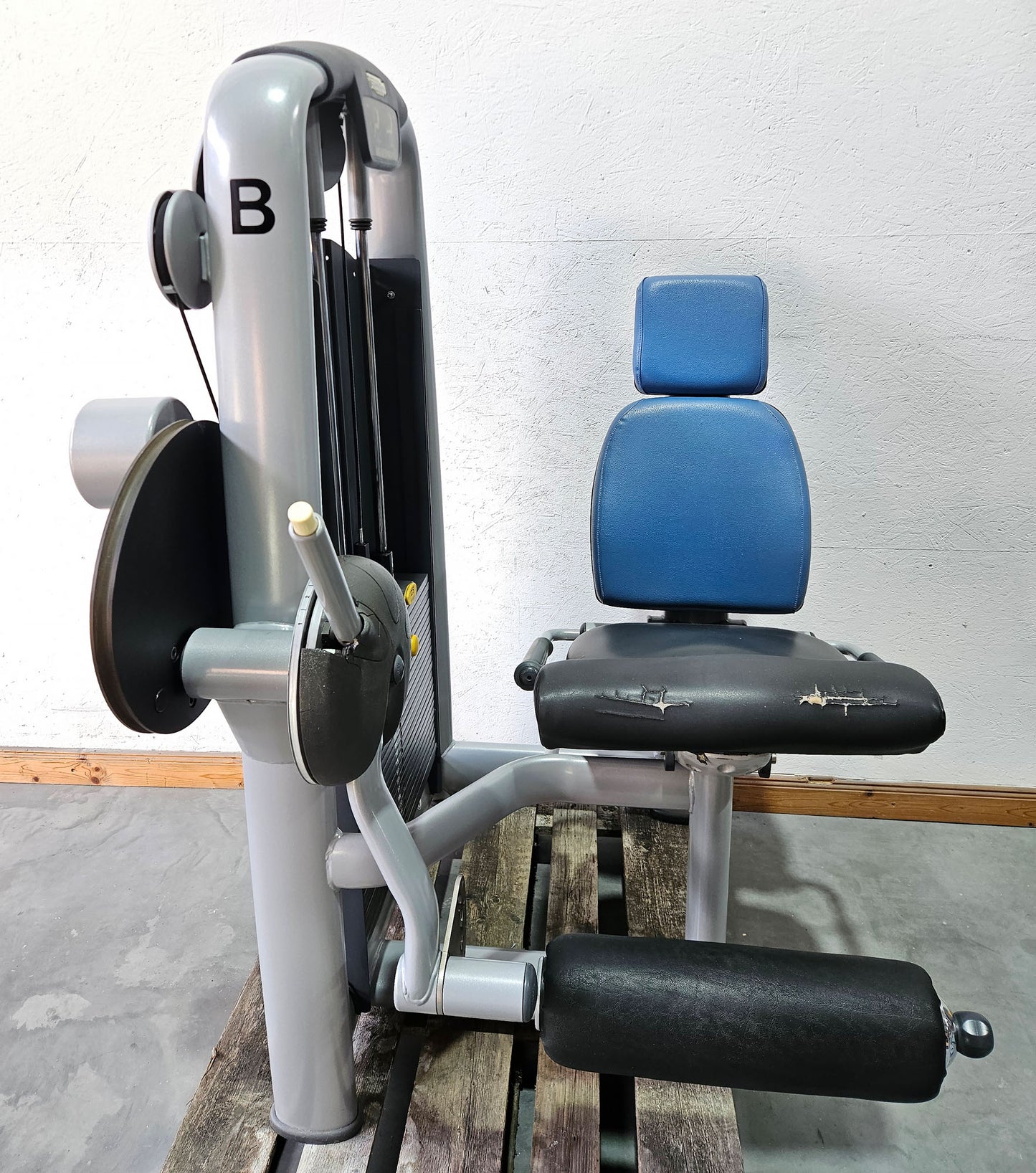 Technogym 2er Set = Beinstrecker und Beinbeuger, Leg Extension and Leg Curl Set, Selection Line, Rahmenfarbe Silber, gebraucht - überholter Zustand