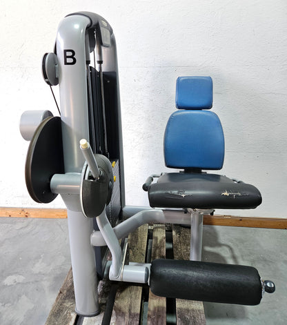 Technogym 2er Set = Beinstrecker und Beinbeuger, Leg Extension and Leg Curl Set, Selection Line, Rahmenfarbe Silber, gebraucht - überholter Zustand