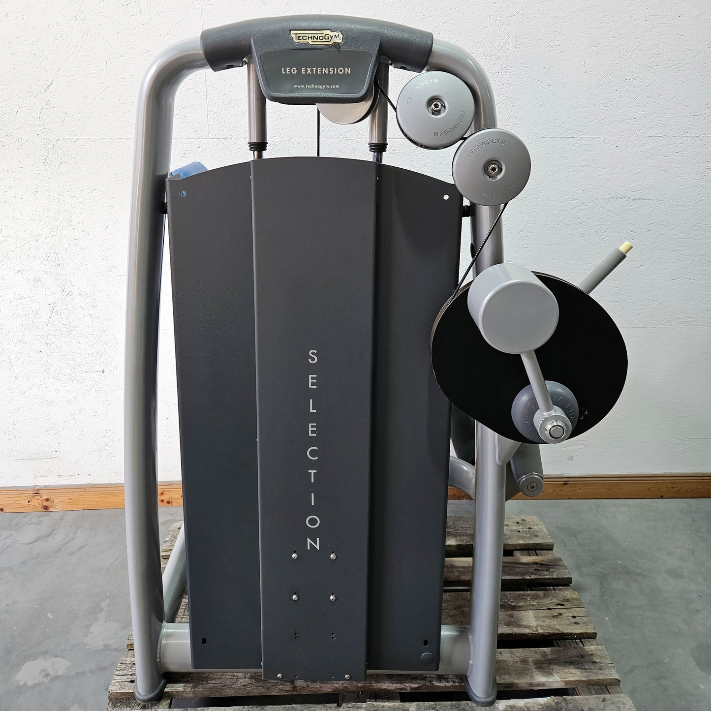 Technogym 2er Set = Beinstrecker und Beinbeuger, Leg Extension and Leg Curl Set, Selection Line, Rahmenfarbe Silber, gebraucht - überholter Zustand