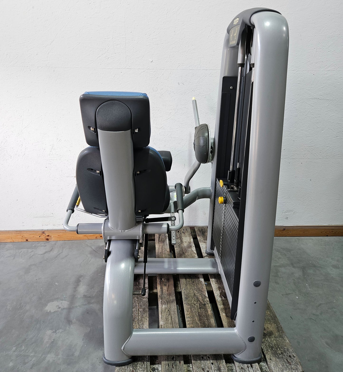 Technogym 2er Set = Beinstrecker und Beinbeuger, Leg Extension and Leg Curl Set, Selection Line, Rahmenfarbe Silber, gebraucht - überholter Zustand