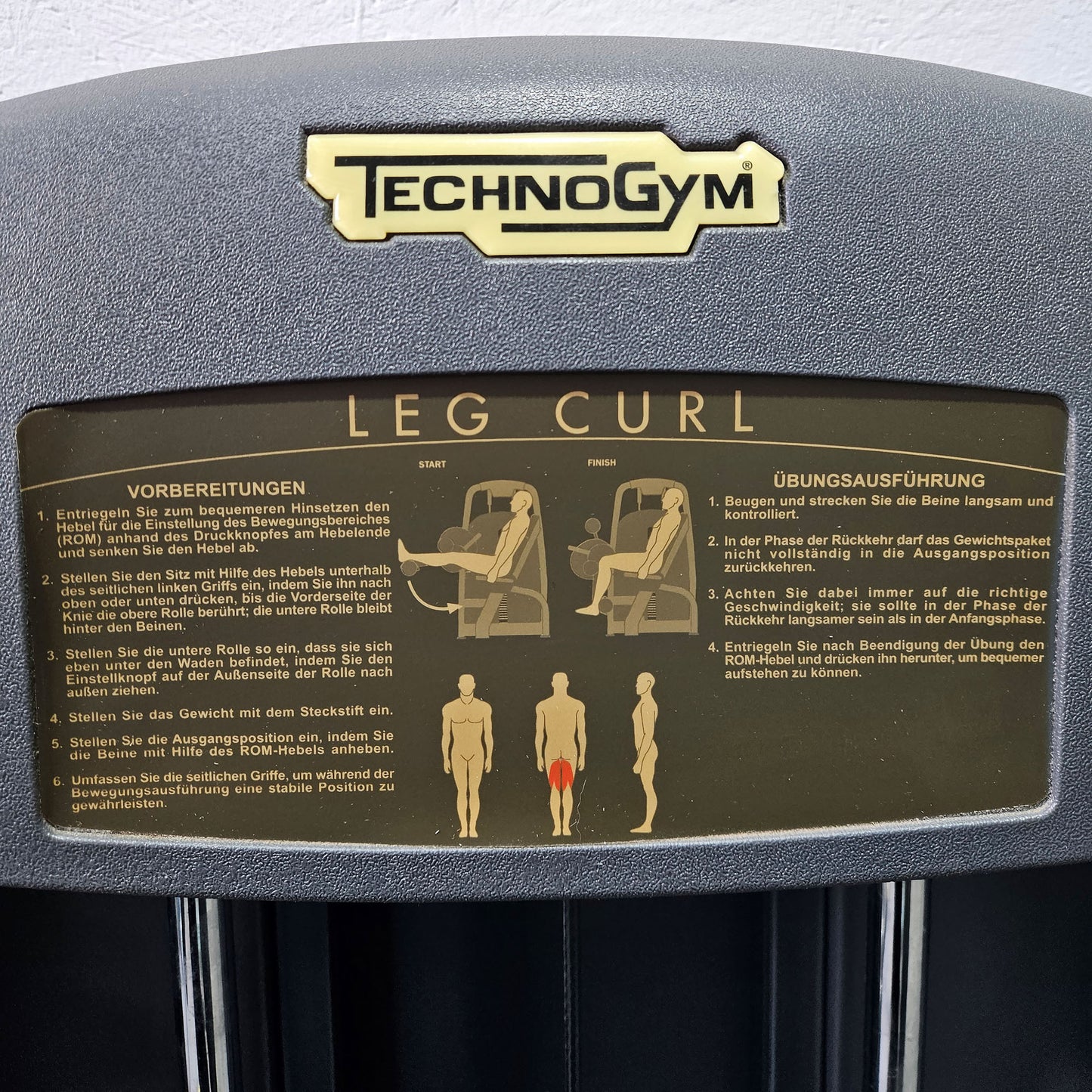 Technogym 2er Set = Beinstrecker und Beinbeuger, Leg Extension and Leg Curl Set, Selection Line, Rahmenfarbe Silber, gebraucht - überholter Zustand