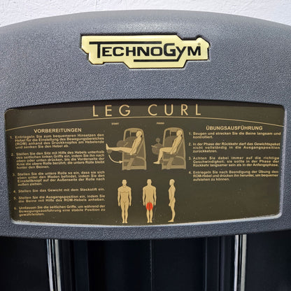 Technogym 2er Set = Beinstrecker und Beinbeuger, Leg Extension and Leg Curl Set, Selection Line, Rahmenfarbe Silber, gebraucht - überholter Zustand